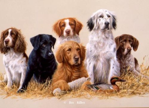Gun Dogs