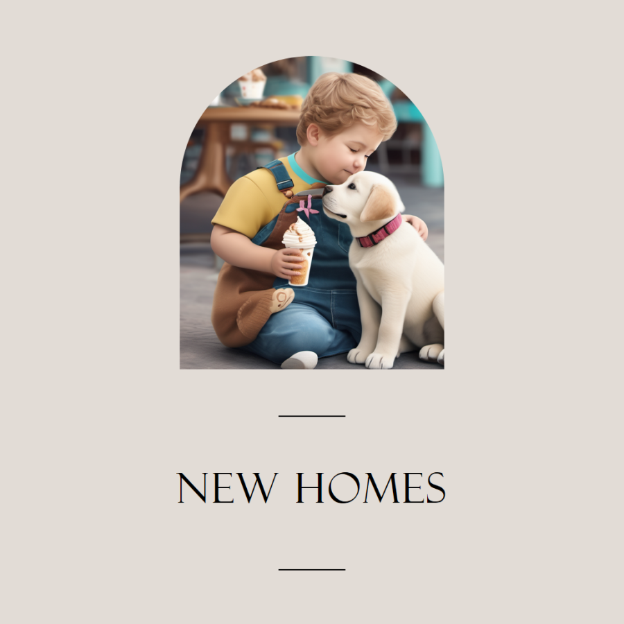 Puppies-New Homes